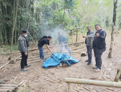 Arena Judi Sabung Ayam di Kindang Dibakar Polisi