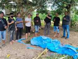 Judi Sabung Ayam di Gantarang Bulukumba Digerebek, Pelaku Kabur Tinggalkan Barang Bukti