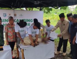 Baznas Bulukumba Sembelih Ratusan Kambing DAM Jamaah Haji 