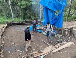 Arena Judi Sabung Ayam di Sapobonto Dibongkar Polis
