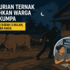 Pencurian Ternak Resahkan Bulukumpa, Tiga Bulan Berlalu Polisi Belum Ungkap Pelaku
