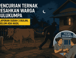 Pencurian Ternak Resahkan Bulukumpa, Tiga Bulan Berlalu Polisi Belum Ungkap Pelaku
