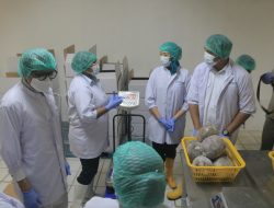 Bupati Bantaeng Sambut Kunjungan TP PKK Papua, Pelajari Pengolahan Gurita Ekspor di PT Global Fishery Product