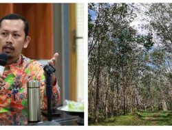 Pemkab Bulukumba Apresiasi Aspirasi Pemanfaatan Eks HGU Lonsum untuk Kepentingan Masyarakat